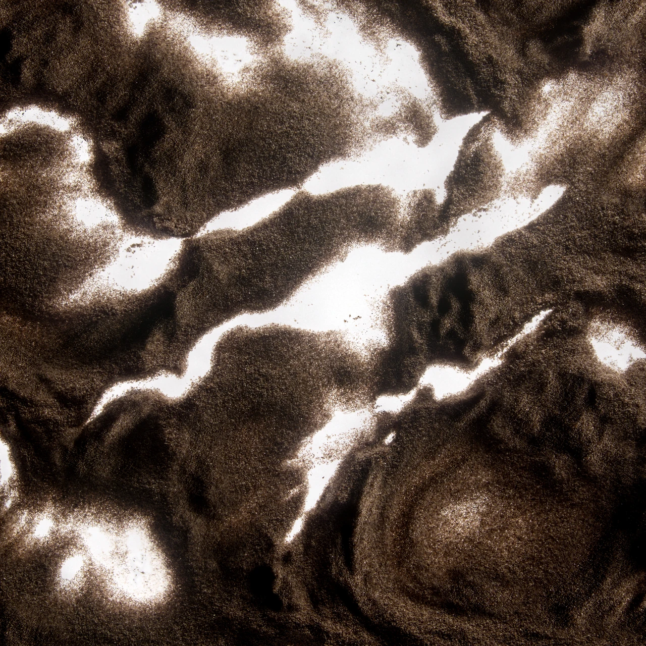 Velophasis claws study