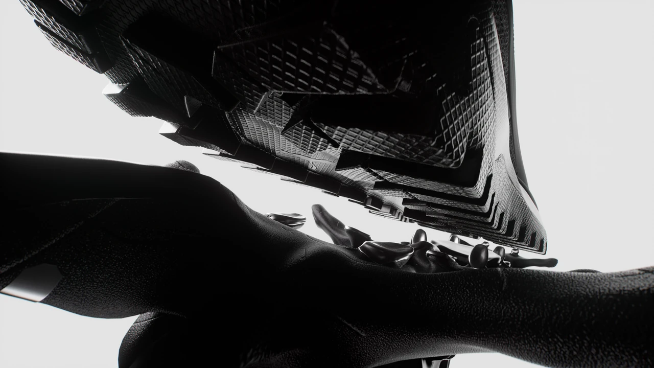 Velophasis artwork, view one